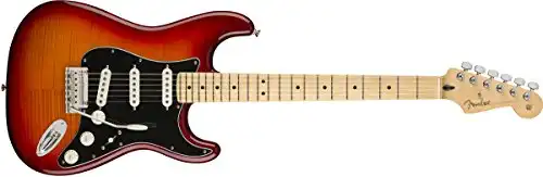 Fender Player Stratocaster Electric Guitar